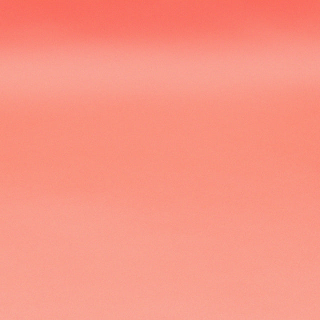 Collections Camera Crib Film and Digital Camera Gems